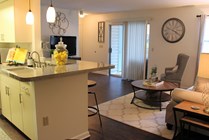 Photo #4